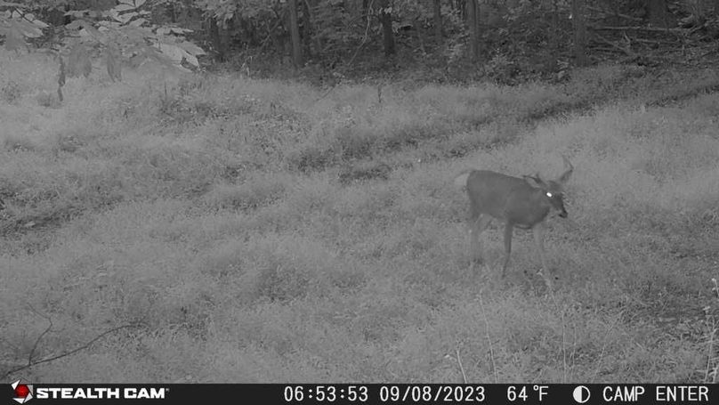 23090806535201000247