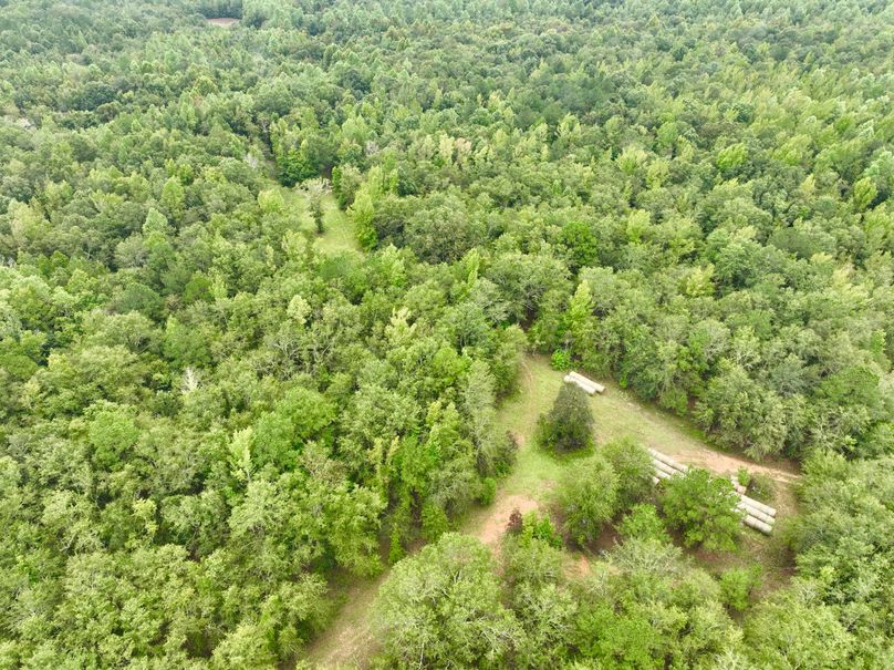 dji_fly_20230915_112118_685_1694871202856_photo