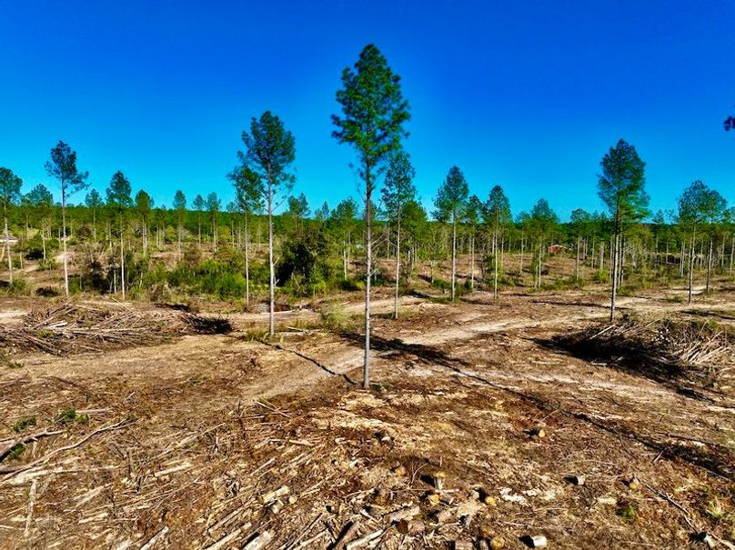 E2CF6BF3-F1C6-4E51-9B0C-5DB634161154_1_201_a