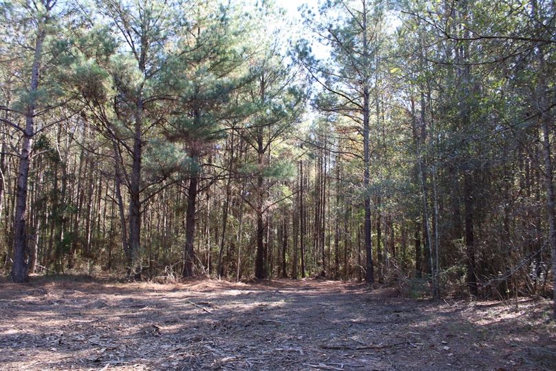 C1817E29-9DB8-44B8-91CD-61AC78865E2A_1_105_c