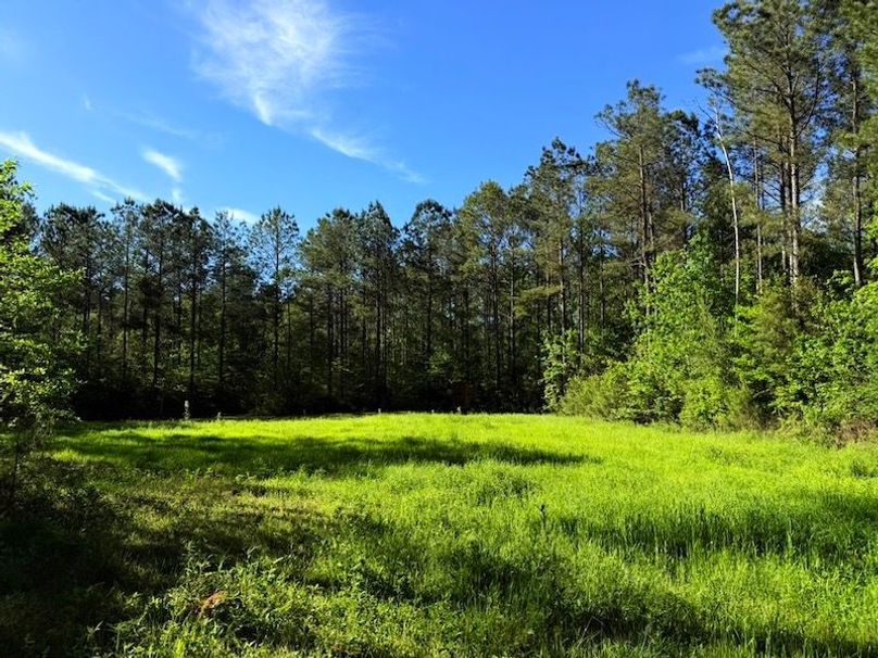 026217F3-0C09-4DF4-87DD-81B20190B004_1_105_c