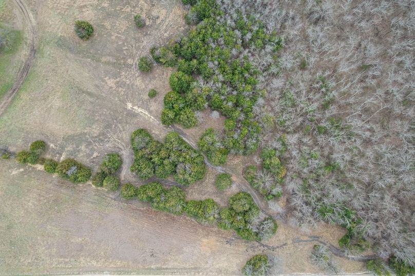 Fannin County- 5.01 acres-14