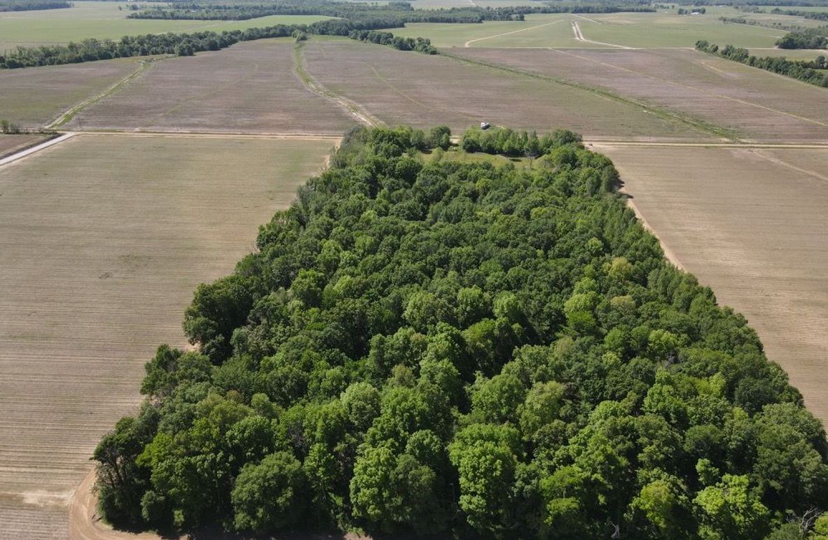 dji_fly_20250411_105530_527_1744386939436_photo