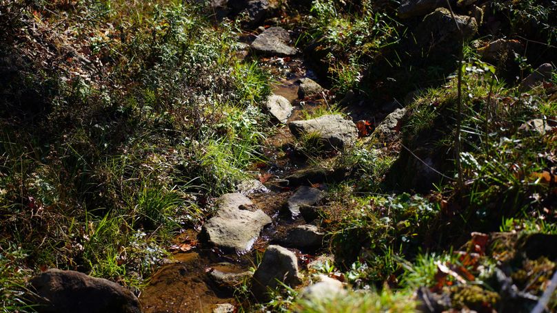 009_Stream