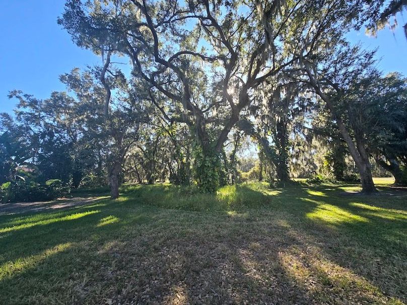  25ac, Osceola, Nimaya Fin10