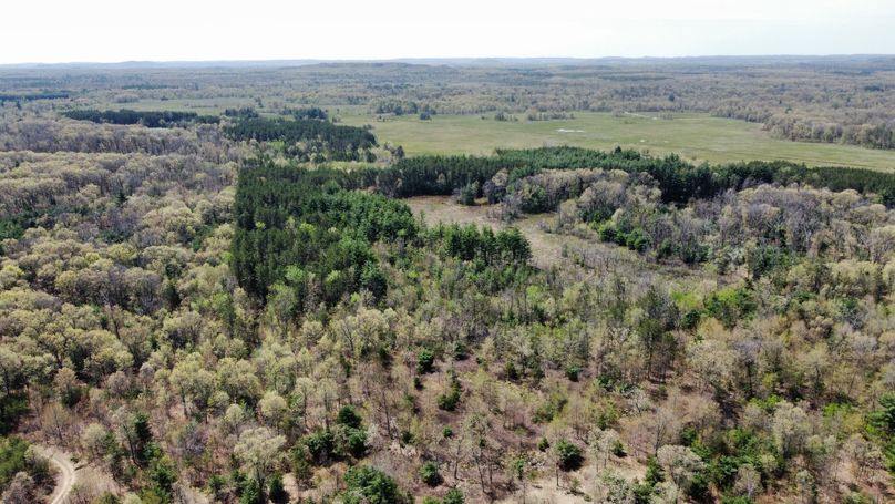 dji_fly_20230511_113846_443_1683838308753_photo_optimized