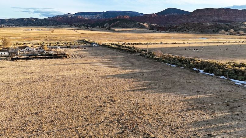 DJI_20250322075856_0190_D