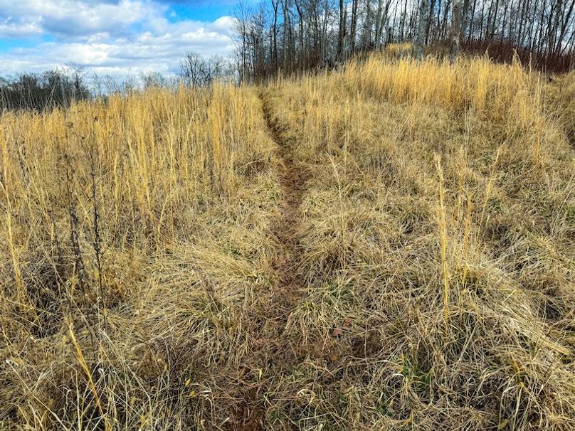 Doddridge, WV 79.08 AC Adams-48