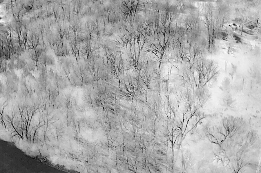 DJI_24250408090410_0002_T