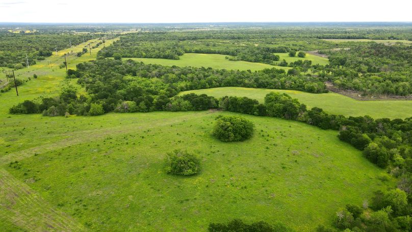 dji_fly_20230428_161318_864_1682716425252_photo