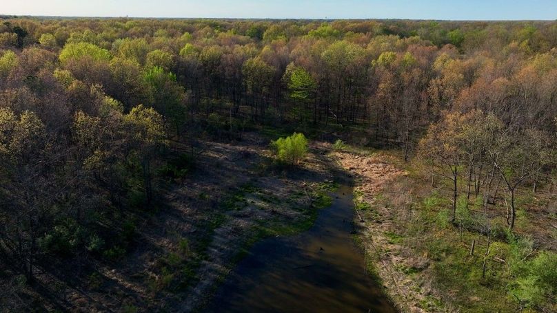 WILLIAMSON, IL 65.00_06_45_17.Still031