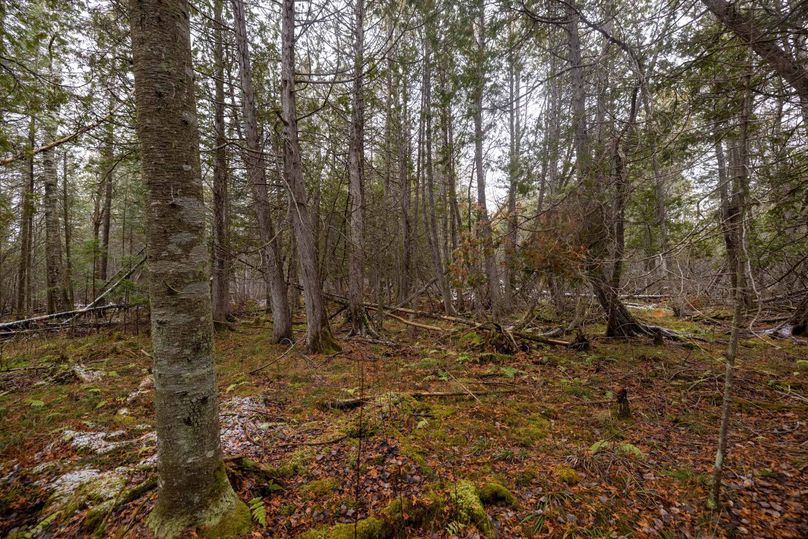 Mackinac 31.5 Noteboom-1732