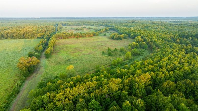 MadisonParLa1372-106