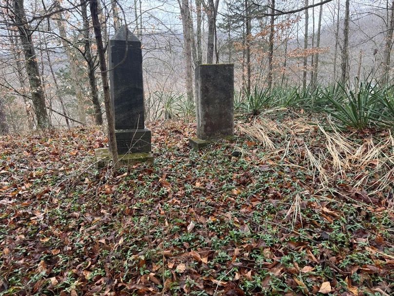 016 a couple of the other headstones in the nearly forgotten cemetery