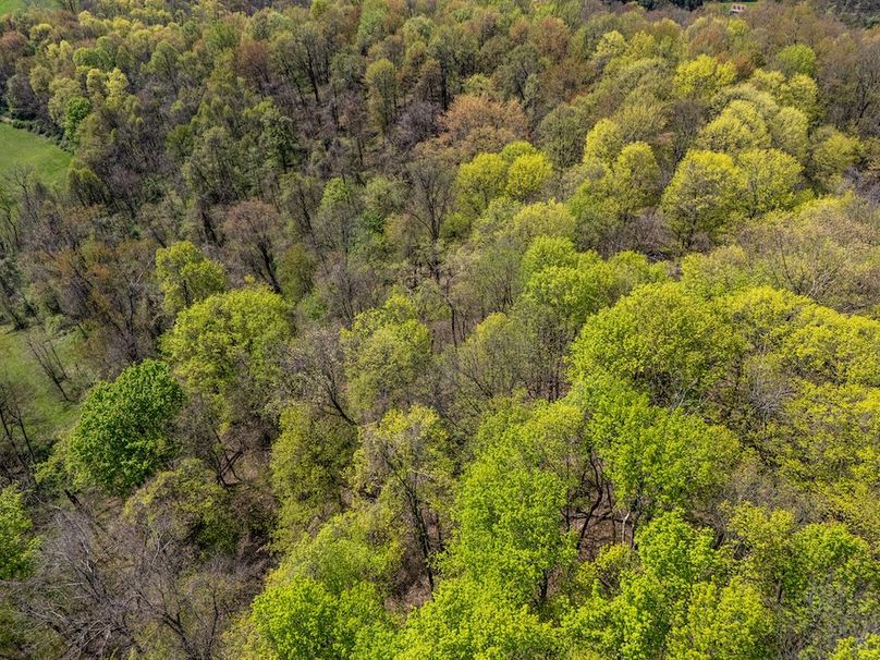 DJI_20250424100122_0225_D