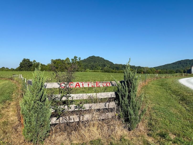 Fleming 32.98 new pic -12