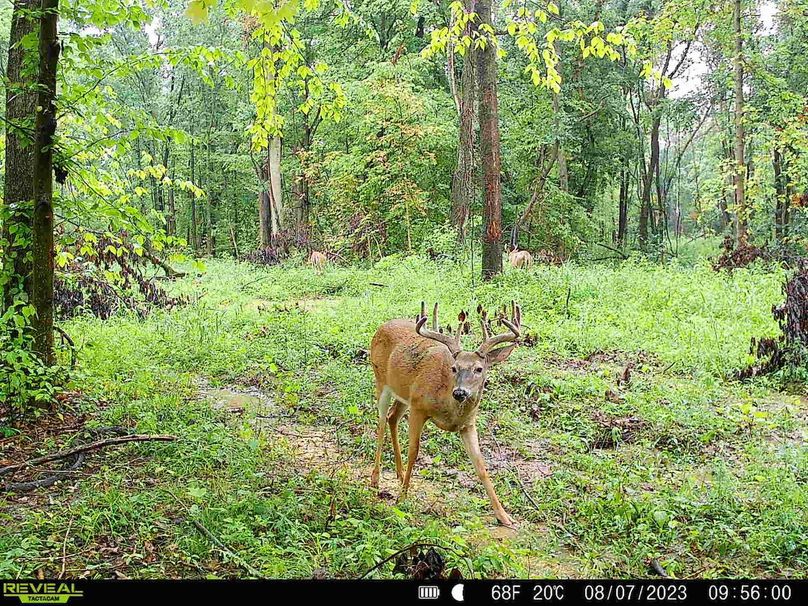 Photo 2023-08-14 12.21.48 PM