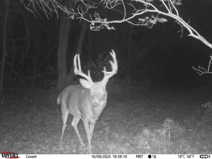 10_09_2025_19_59_10_3199877896