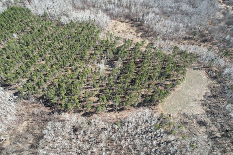 dji_fly_20260415_161332_159_1776288011839_photo