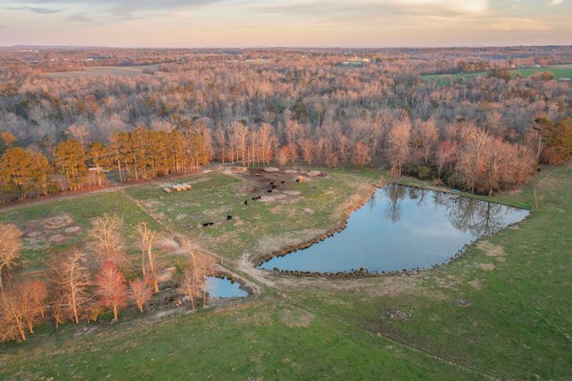 DJI_0910
