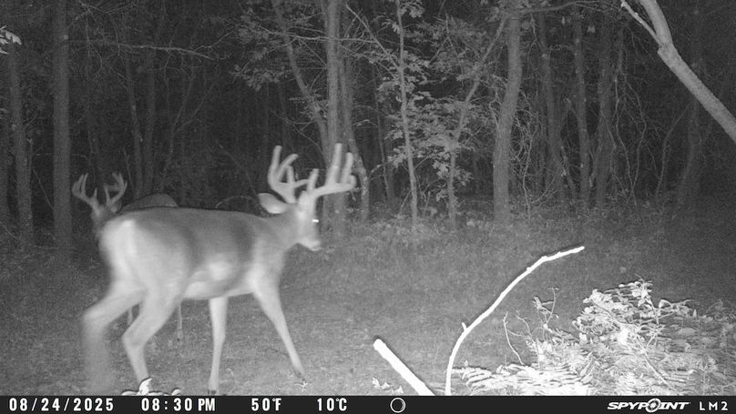 Copy of Trailcam6