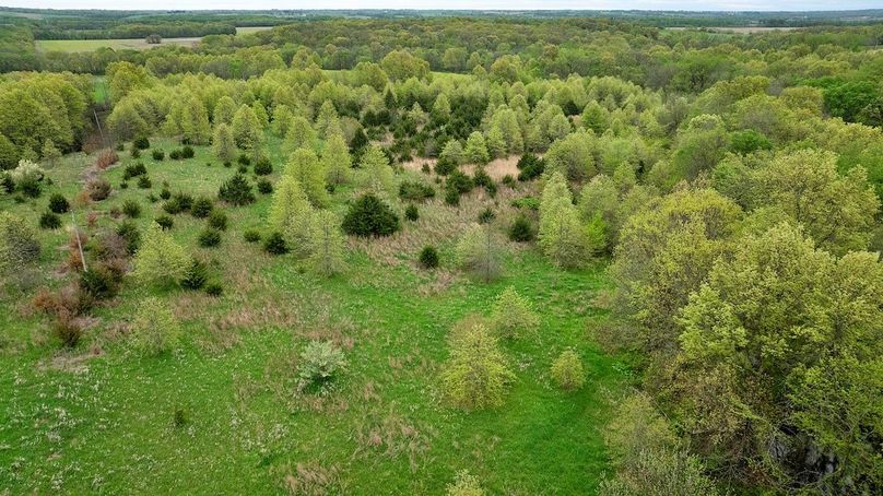 DJI_0291