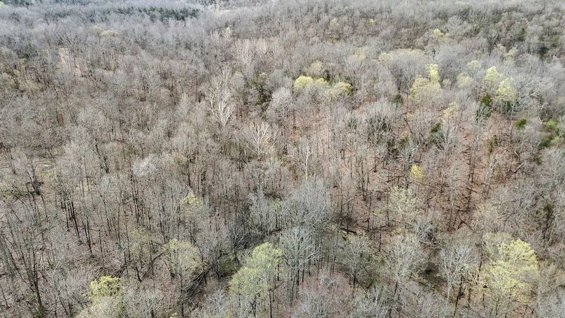 DJI_20250401122117_0041_D