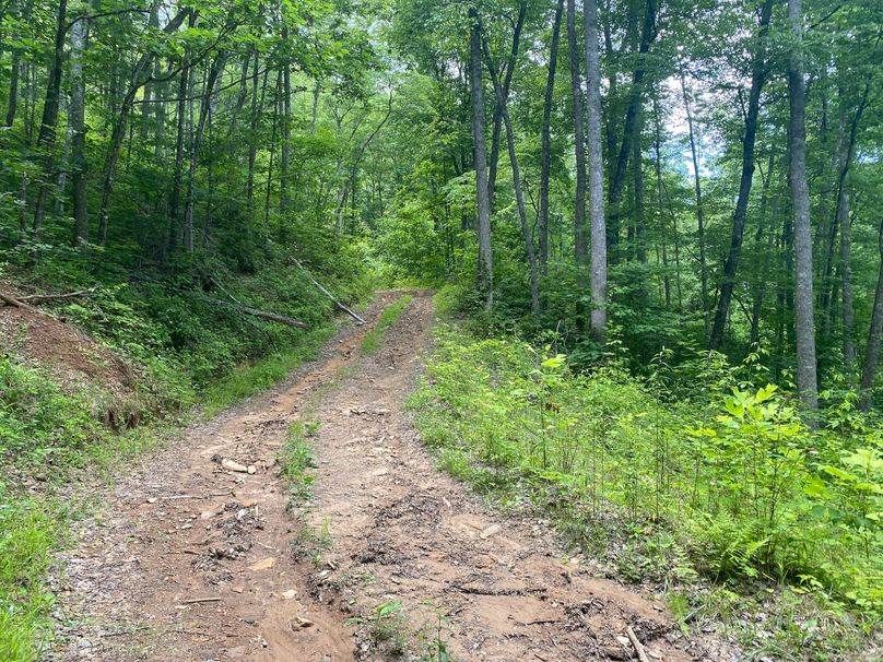 Swain 39 Tysinger-10