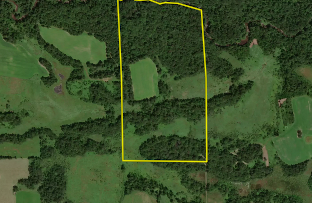 Screenshot 2025-09-12 at 11.02.38 AM