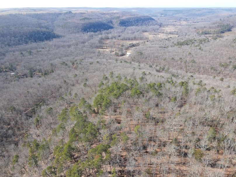 DJI_0040