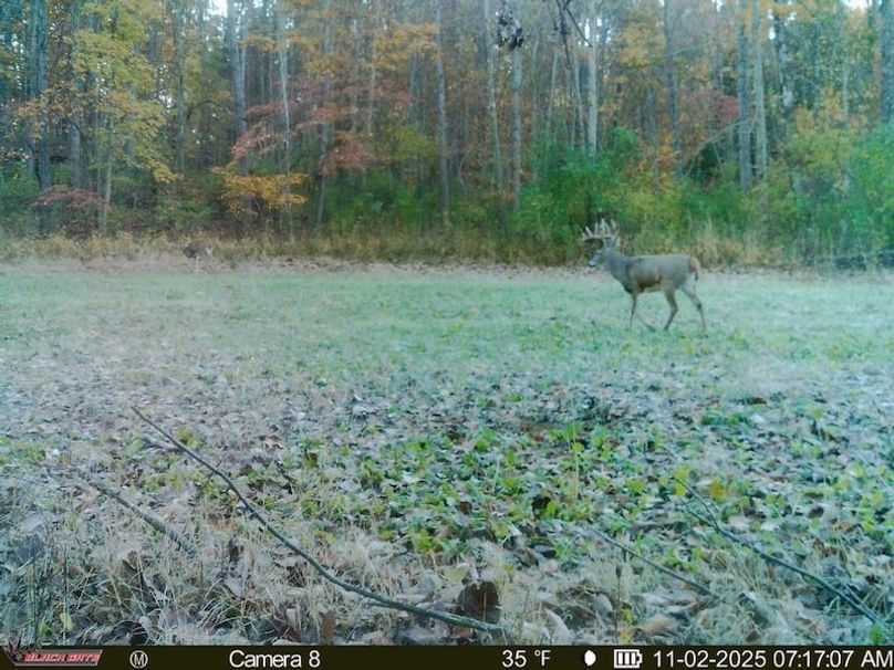 8B0685C5-105A-4BB5-9CB5-B5AF658A9671