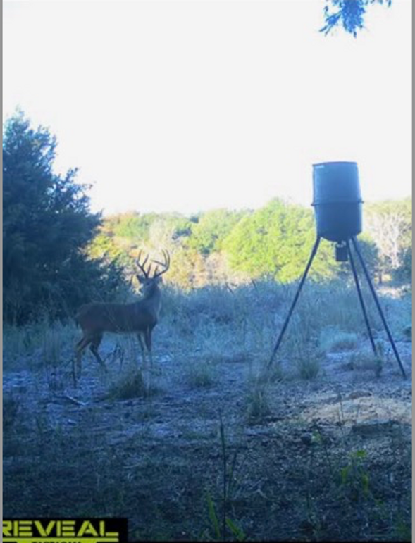 Screen Shot 2023-12-21 at 2.11.01 PM