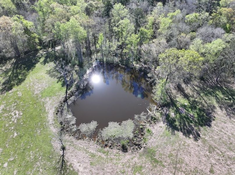 dji_fly_20260317_085528_0388_1773768882737_photo