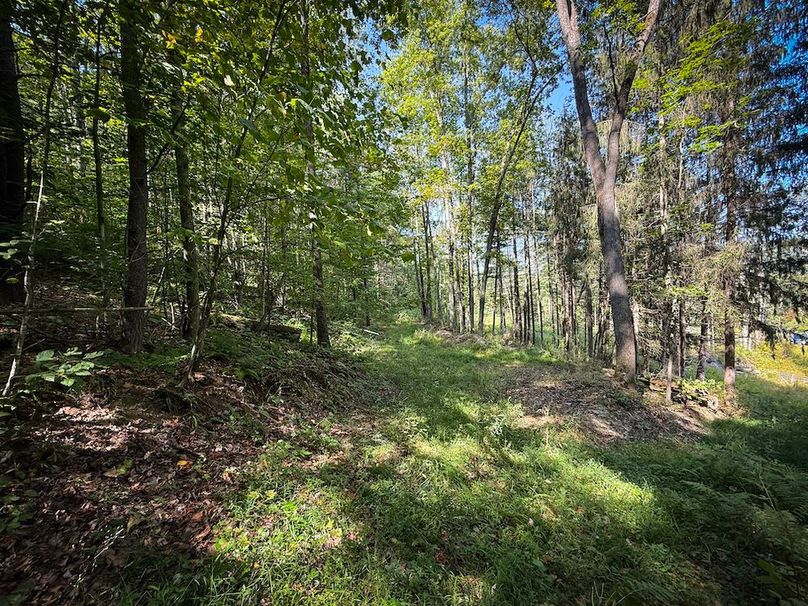 Tioga NY 86.705 Capwell Photos 14