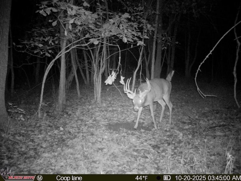 thumb-a1da838510c244118f25dce6b2a17f659b63224a