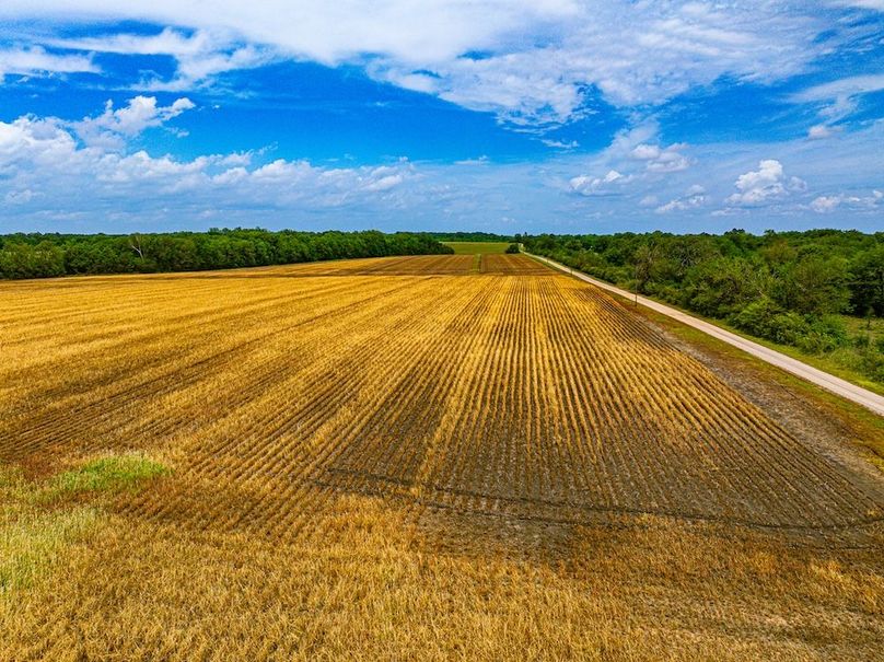 Copy of Noxubee 112.1 +- Tract 1-30