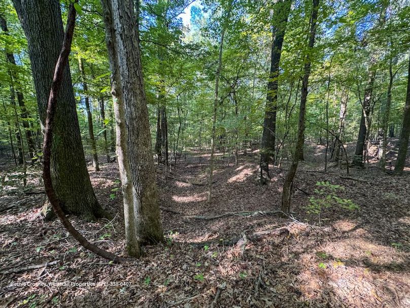 DeSoto 109 Prewett -8