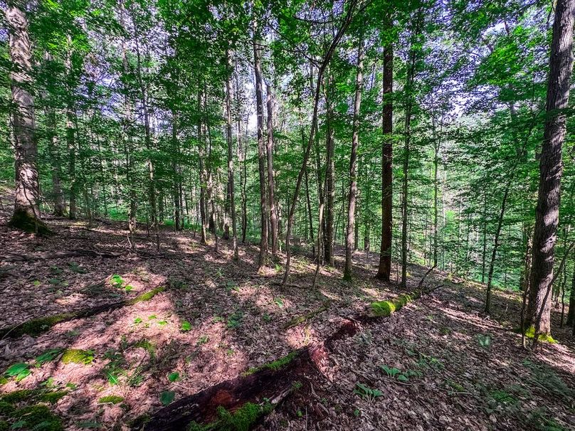 Lewis, WV 105 AC Miller-51