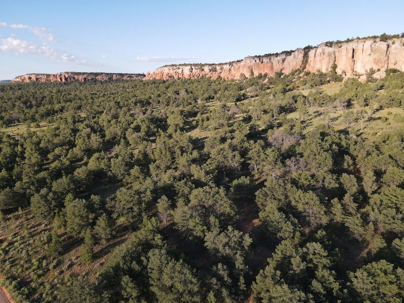 dji_fly_20240816_073738_488_1723815473761_photo