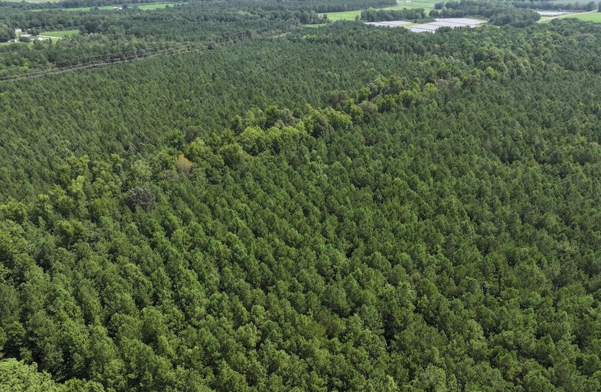 DJI_20240730114455_0014_D