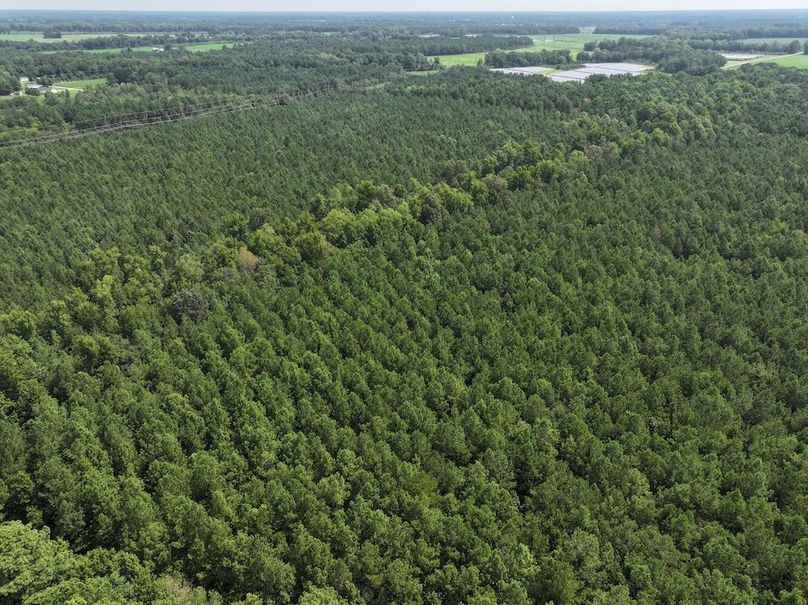 DJI_20240730114455_0014_D