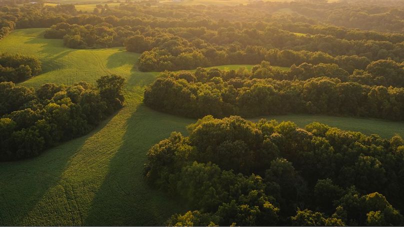 DJI_0137-HDR-2