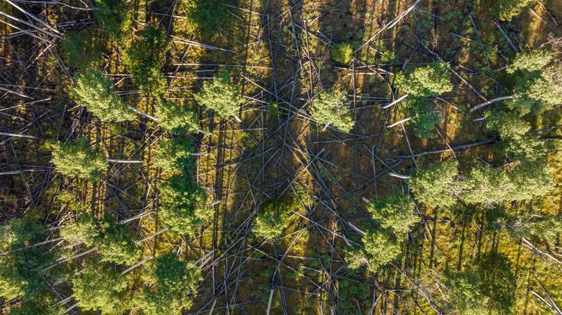 Cibola NM 13,053--116