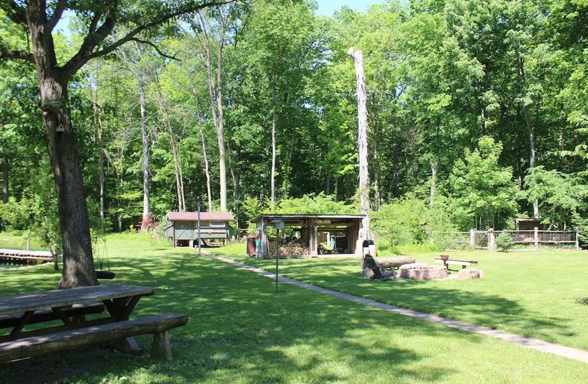 back yard 2