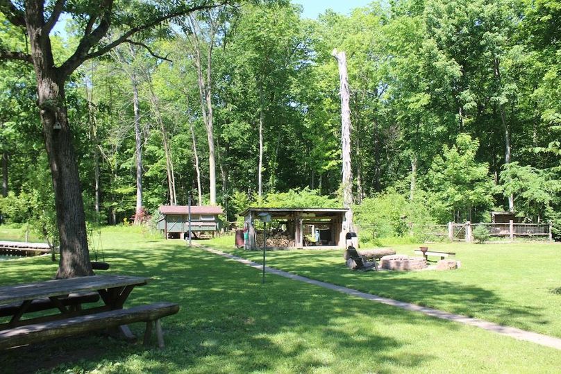 back yard 2