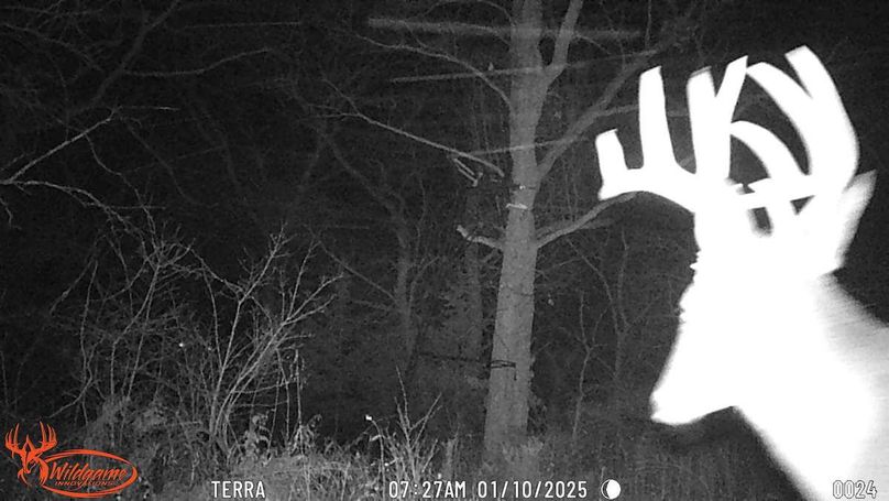 TRAIL CAM 12
