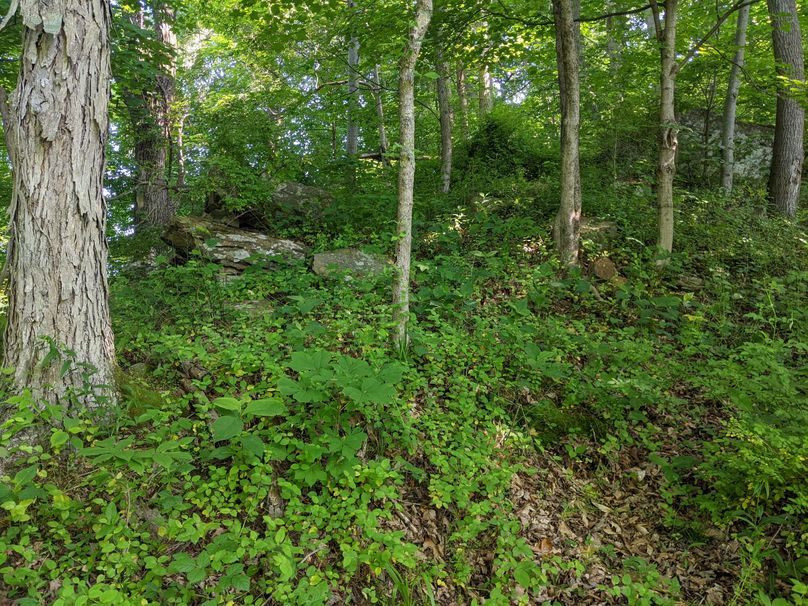 PXL_20230602_132614086