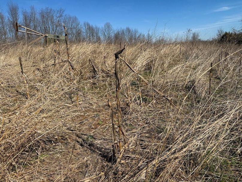 Fleming Petry 115-57