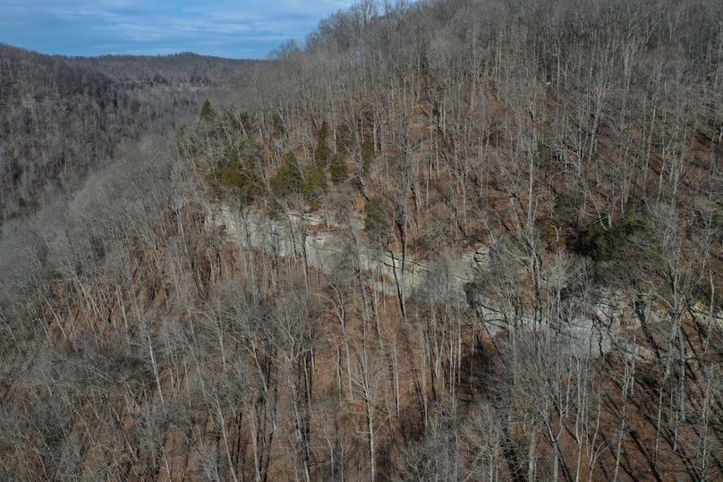 005 band of limestone cliff line in the north area of the property