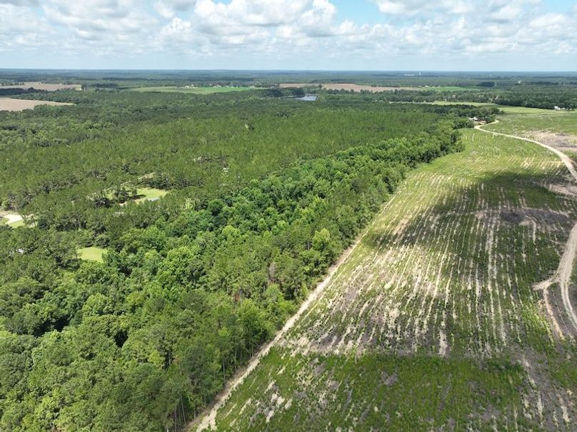 dji_fly_20250619_120412_957_1750349254550_photo